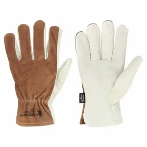 MCR SAFETY 3204XXL Leather Gloves, Size 2XL, Cowhide, Premium, Glove, Full Finger, Unlined, Brown, 12 PK | CT2UNV 26K575