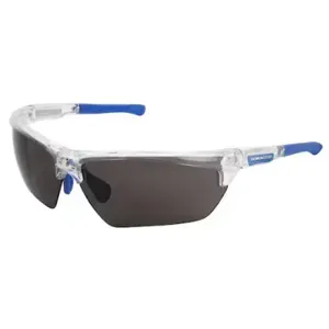 MCR SAFETY DM1322PF Safety Glasses | CT2TEH 328XH7