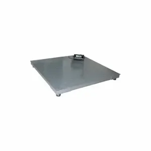 MEASURETEK 12R960 Platform Floor Scale, 5000 Lb Wt Capacity, 48 Inch Widtheighing Surface Dp, Kg/Lb | CT2TZN