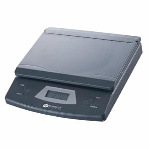 MEASURETEK 12R969 Bench Scale, 5 1/4 Inch Weighing Surface Dp, 8 1/8 Inch Weighing Surface Width, g/oz | CV2RDW