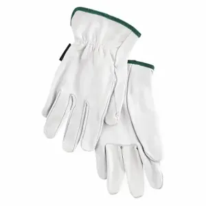 MEMPHIS GLOVE 127-3601M Goatskin Leather, Driver Gloves, Med, PK 12 | CT2ZAP 50MZ28