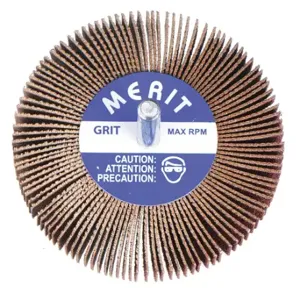 MERIT 08834131827 Flap Wheel, 5/8 Inch Dia x 3/4 Inch W, 1/8 Inch Straight-Shank, Aluminum Oxide, P80 Grit | CT3ABF 3RE12