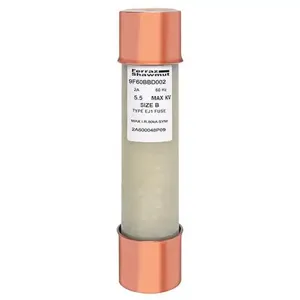 MERSEN FERRAZ 9F60BBD002 Fuse, Medium Voltage, 5500V, 2A, PT Type, Ferrule Mount | CH4RQP