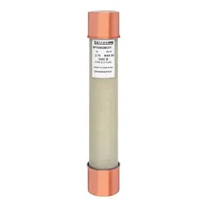 MERSEN FERRAZ 9F60BDB001 Fuse, Medium Voltage, 2750V, 1A, PT Type, Ferrule Mount | CH4RQY