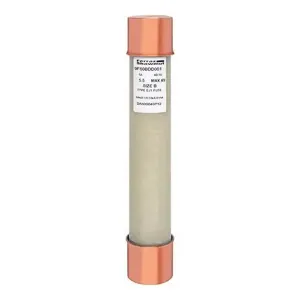 MERSEN FERRAZ 9F60BDD001 Fuse, Medium Voltage, 5500V, 1A, PT Type, Ferrule Mount | CH4RRB