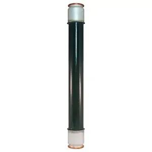 MERSEN FERRAZ 9F60DMH001 Fuse, Medium Voltage, 15500V, 1A, E Rated, Ferrule Mount Striker | CH4RVM