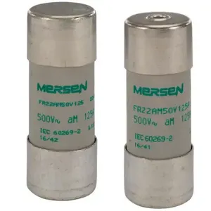 MERSEN FERRAZ A1022166 Fuse Link, 690V, 63A | CH4TPD FR22AM69V63P