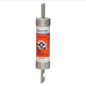 MERSEN FERRAZ A2D100R Time Delay Fuse, 250VAC, 100A, 1 Pole | AG8LDD