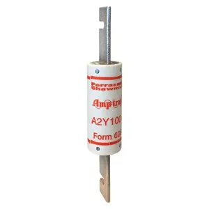 MERSEN FERRAZ A2Y100-4 Current Limiting Fuse, 250V, 100A | CH4UCW A2Y15-1