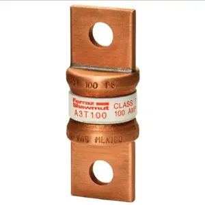 MERSEN FERRAZ A3T100 Fuse, Fast Acting, 300V, 100A, Class T, 1 Pole | AG8LGJ