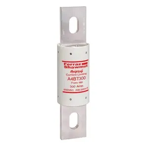 MERSEN FERRAZ A4BT300 Time Delay Fuse, 600V, 300A, Class L | CH4URW