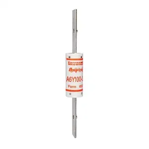 MERSEN FERRAZ A6Y100-3 Current Limiting Fuse, 600V, 100A | CH4VLT