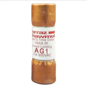 MERSEN FERRAZ AG2 Time Delay Fuse, 600VAC, 2A, 1 Pole | AG8LQT