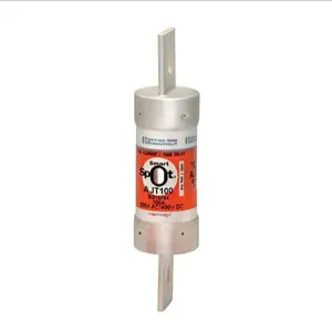 MERSEN FERRAZ AJT100 Time Delay Fuse, 600VAC, 100A, 1 Pole | AG8LRJ