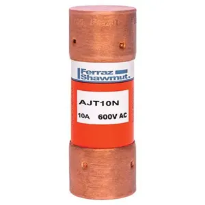 MERSEN FERRAZ AJT10N Time Delay Fuse, 600V, 10A, Class J | CH4WCC