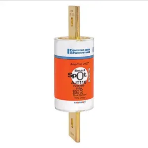 MERSEN FERRAZ AJT110 Time Delay Fuse, 600VAC, 110A, 1 Pole | AG8LRM