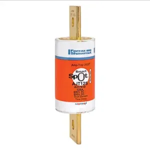 MERSEN FERRAZ AJT125 Time Delay Fuse, 600VAC, 125A, 1 Pole | AG8LRP