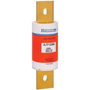 MERSEN FERRAZ AJT125N Time Delay Fuse, 600V, 125A, Class J | CH4WCH