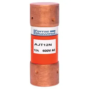 MERSEN FERRAZ AJT12N Time Delay Fuse, 600V, 12A, Class J | CH4WCJ