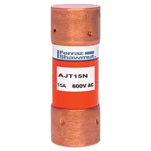 MERSEN FERRAZ AJT15N Time Delay Fuse, 600V, 15A, Class J | CH4WCN