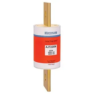 MERSEN FERRAZ AJT225N Time Delay Fuse, 600V, 225A, Class J | CH4WDF