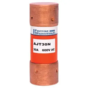 MERSEN FERRAZ AJT30N Time Delay Fuse, 600V, 30A, Class J | CH4WDR