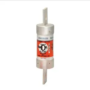 MERSEN FERRAZ AJT80 Time Delay Fuse, 600VAC, 80A, 1 Pole | AG8LTR