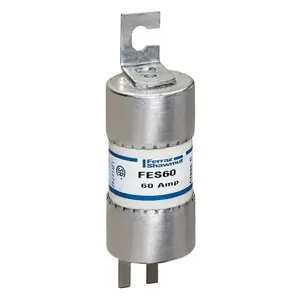 MERSEN FERRAZ FES60 Canadian Fuse, 600V, 60A, Blade Mount | CH4XJL FES15