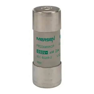 MERSEN FERRAZ J216162 Ferrule Fuse Link, 690V | CH4ZBM FR22AM69V2P