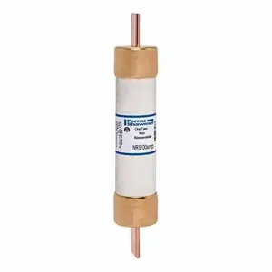 MERSEN FERRAZ NRS100 Canadian Fuse, 600V, 100A, Blade Mount | CH6APL