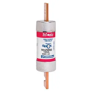 MERSEN FERRAZ TR125RID Time Delay Fuse, Class RK5, 250V, 125A | CH6CDG