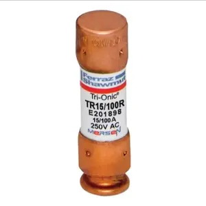 MERSEN FERRAZ TR15/100R Time Delay Fuse, 250V, 0.15A, Class RK5, 1 Pole | AG8WNC