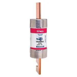 MERSEN FERRAZ TR300RID Time Delay Fuse, Class RK5, 250V, 300A | CH6CDY