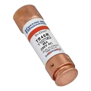 MERSEN FERRAZ TR40R Time Delay Fuse, 250VAC, 40A, 1 Pole | AG8WNP