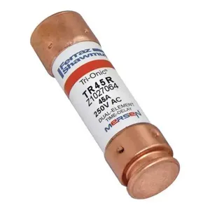 MERSEN FERRAZ TR45R Time Delay Fuse, 250VAC, 45A, 1 Pole | AG8WNT