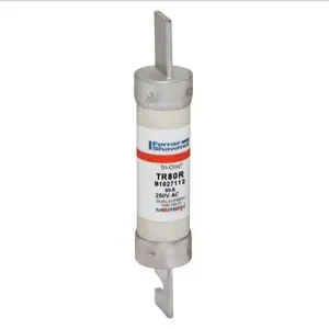 MERSEN FERRAZ TR80R Time Delay Fuse, 250VAC, 80A, 1 Pole | AG8WPH