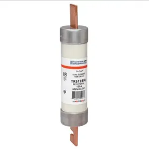 MERSEN FERRAZ TRS125R Time Delay Fuse, 600VAC, 125A, 1 Pole | AG8WQX