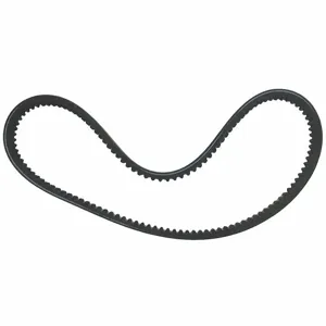 MI-T-M 11-0050 Cog Belt | CH9WNU 25GT02