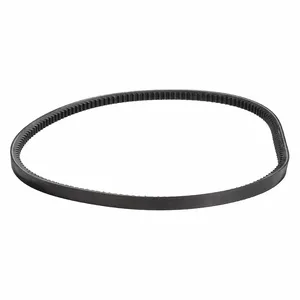 MI-T-M 11-0055 Cog Belt | CH9WNX 25GT04