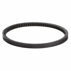 MI-T-M 11-0070 Cog Belt | CH9WNT 25GT06