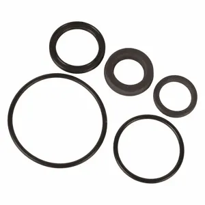 MI-T-M 70-0218 Seal Kit | CJ3GUM 33PL99