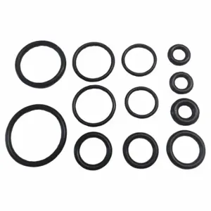 MI-T-M 70-0341 Unloader O-Ring Seal Kit, Unloader O-Ring Seal Kit | CT3QQU 2GXP7