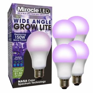 MIRACLE LED 602154 Glühbirne, Rot/Blau Spc Mlt Pt LED, PK 4, A21, 150 W INC Watt Eq, 120 V, 11 W Watt, LED | CT3QHV 655Y41