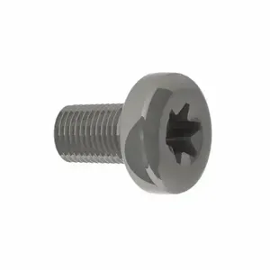 MONARCH 500206917071 Screw, Pan Hd, Torx, 10 Inch Size-32 X 5/16 Inch Size | CT3UFR 38ZE62