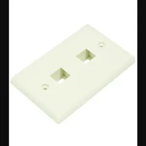 MONOPRICE 6728 Wall Plate Blank 2 Hole Ivory | AA6NFF 14J393