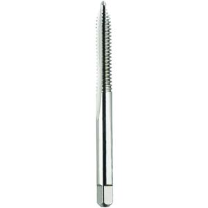 MORSE CUTTING TOOLS 82833 Spiral Point Tap, â€Ž12-24 Size, 2 Flute | AM6TWP