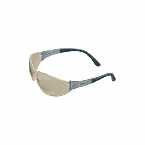 MSA 10059671 Spectacle, Indoor/Outdoor | CJ7YBG