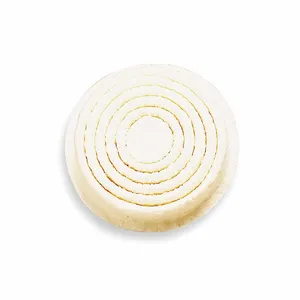 MSA 816287 Filters, Comfo, R95, Pack Of 20 | CJ7QYR