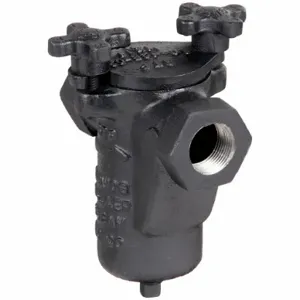 MUELLER STEAM 3/4 125 CI Iron Body Screwed Basket Strainer Cast Iron 3/4in | AB3DZD 1RNK2