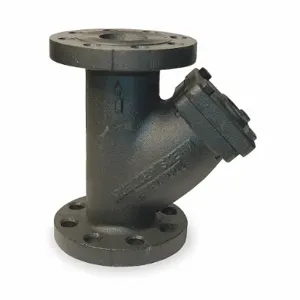 MUELLER STEAM 3 752 Iron body flanged Y Type Strainer Cast Iron Steel 3 In | AB3DYU 1RNJ1